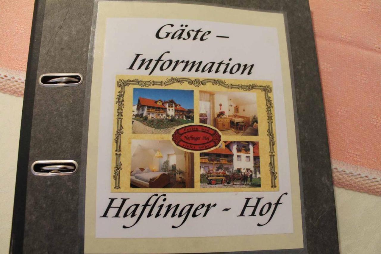 Appartementhaus "Haflinger Hof" 바트푸징 외부 사진